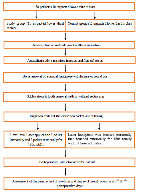 graphical abstract